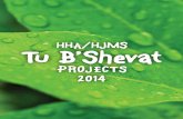 HHA/HJMS Tu B'Shevat Projects 2014