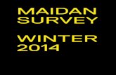 Maydan Survey