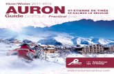 Auron Winter 2011-2012