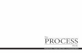 Fnal Process Book - DM3105