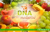 Apresentação DNA Natural Franquias 2011