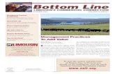 Bottomline Summer Newsletter
