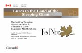 Lured to Canada’s Borel Forest; Marketing Ecotourism Opportunities of Ontario