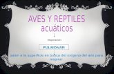 AVES Y REPTILE