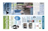 August Issue of Downeast Dog News