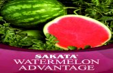Sakata Watermelon Advantage Brochure 12