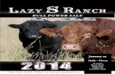Lazy S Bull Power Sale