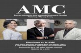 AMC Boletín # 29