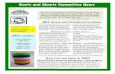 RBIS Roots and Shoots Committee Newsletter Jan. 2011