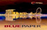 2012 Blue Paper