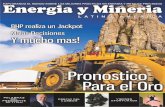 Revista energia y mineria 2013