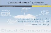Consultants Corner February-March 2014