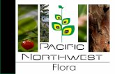 Pacific Northwest Flora