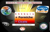 Energia + Formiche - Cicale