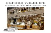 Oxford Wildlife News - Number 101 - Spring 2014