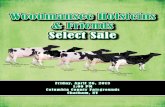 Woodmansee Holsteins and Friends Select Sale