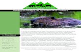 Green Mountain Animal Defenders Spring 2013 Newsletter