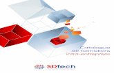 Catalogue de formations de SDTech SA (Solides Divisés Technologies)