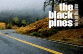 The Black Pines CD Walk in the Rain