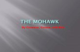 The Mohawks
