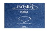 Bíblia Manuscrita - RS - Volume 2