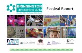 Brinnington Arts Festival Evaluation Report