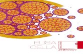 ELISA CELLA - EBOOK PORTFOLIO