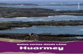 Ruta Huarmey