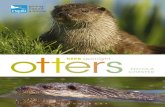 Rspb Spotlight: Otters sampler