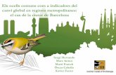Els ocells comuns com a indicadors del canvi global en regions metropolitanes,  Sergi Herrando, ICO