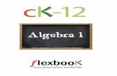 Algebra 1 Flexbooks - Various Topics