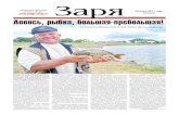 Выпуск газета "Заря" № 76-76 от 24 июня 2011 года