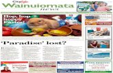 Wainuiomata News 27-03-13