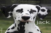 E Dalmatians Aug Set 2012 Edition
