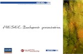 AIESEC - Colliers presentation