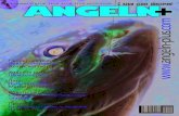 Август 11 Рыболовный журнал "Angeln-plus"