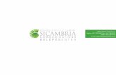 Sicambria webdesign