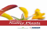 Australian Native Plants for your Backyard