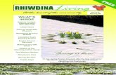 Rhiwbina Living Issue 6