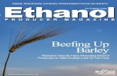 October 2008 Ethanol  Producer Magazine