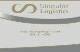 Overhead conveyor by Singular Logistics