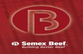 Semex 2013 EU Beef Catalogue