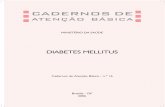Diabete Melitus-caderno 16