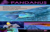 PANDANUS December Issue