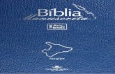 Bíblia Manuscrita - SE - Volume 3