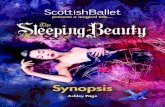 The Sleeping Beauty synopsis