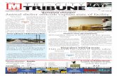Tri-city Tribune 07262013