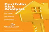 Portfolio Risk Analysis Prime Alliance Solutions