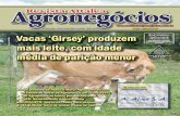 Edição 63 - Revista de Agronegócios - Novembro/2011