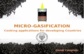 La microgassificazione secondo Davide Caregnato